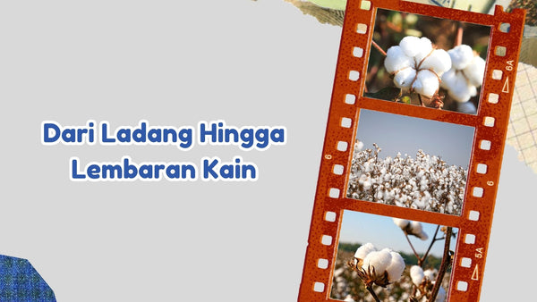 Dari Ladang Hingga Lembaran Kain: Sejarah Singkat Tanaman Katun dalam Produk SAM Textile 100% Cotton